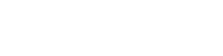 Four HOUSES, One Family. Go Lions!