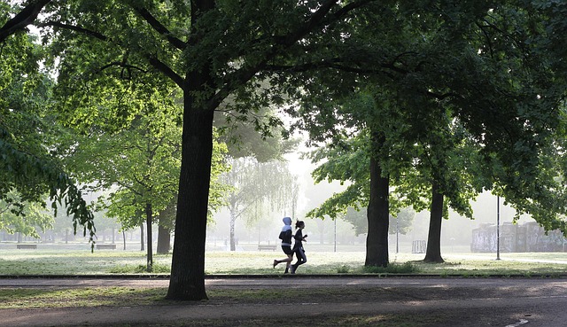 people jogging under trees