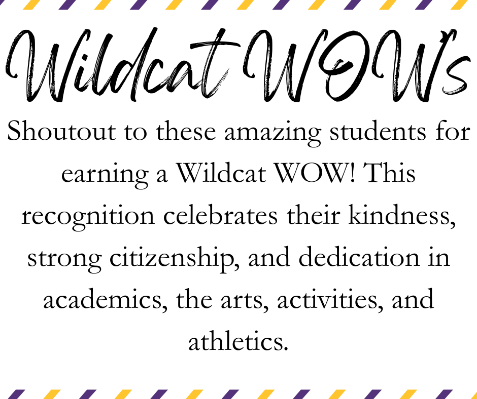 What is a Wildcat WOW?
