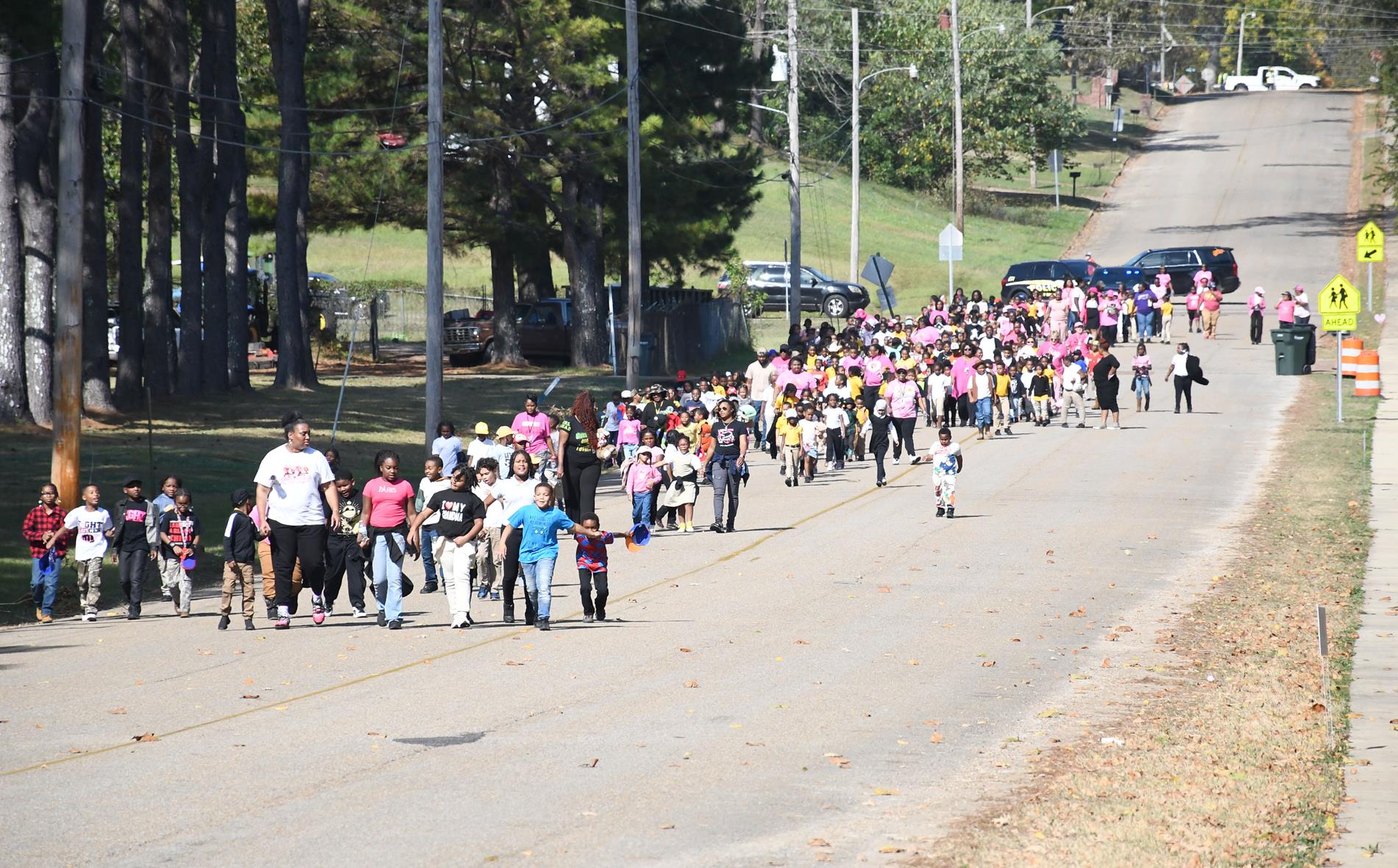 Walking for a Cure