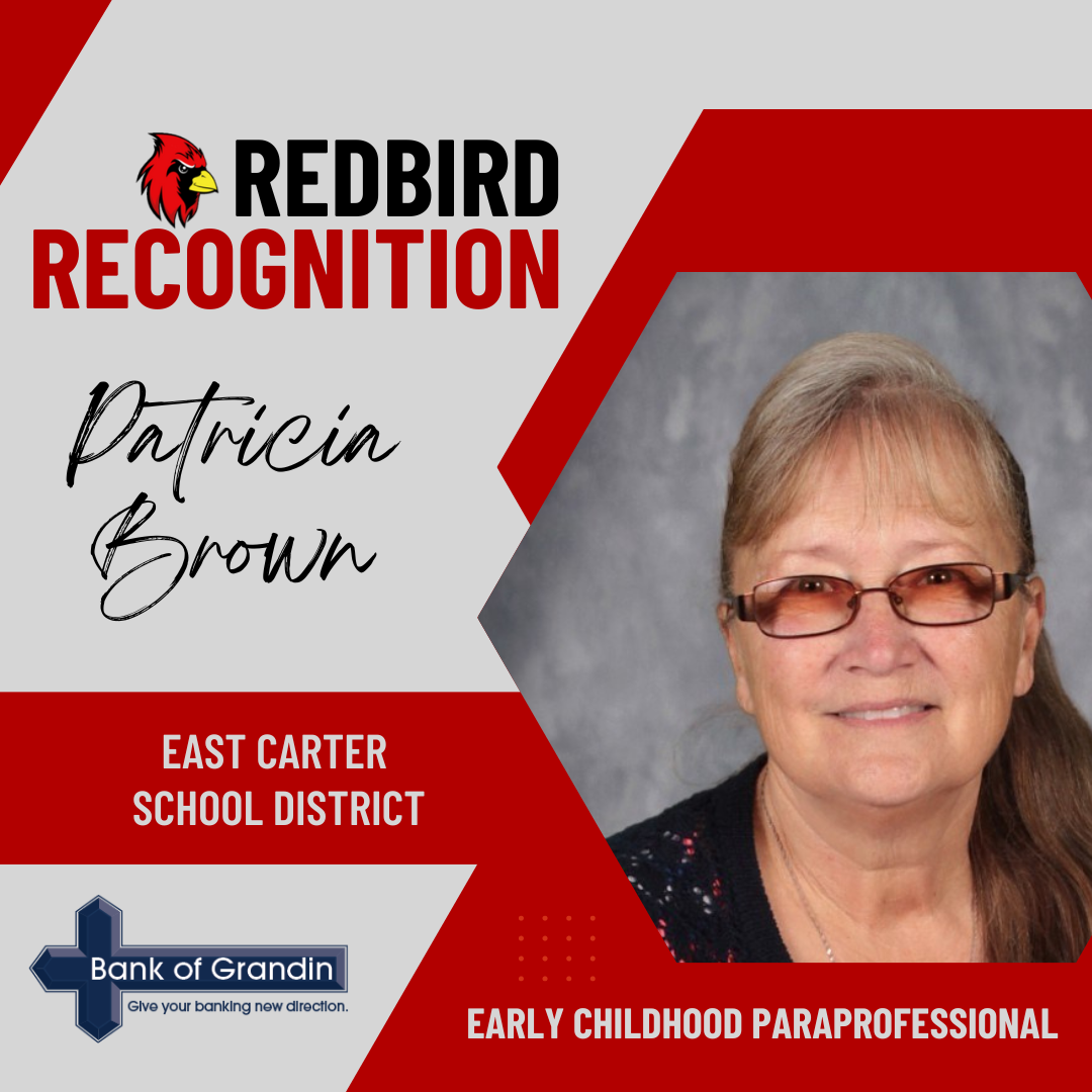 pat brown redbird recognition