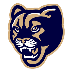 panther logo 