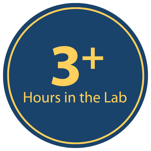 3+ Hours in the Lab