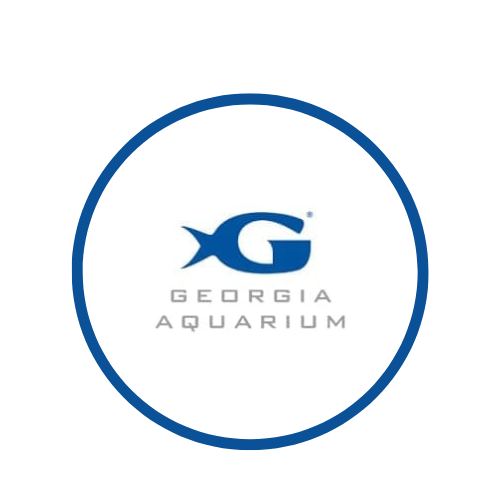 Georgia Aquarium Webcams