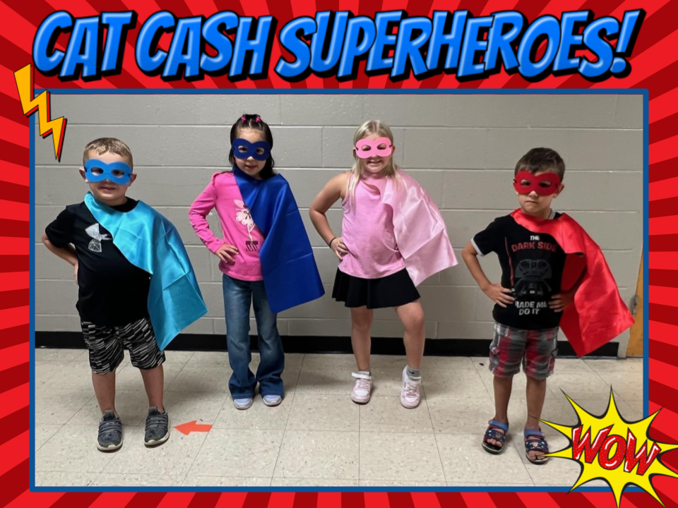 Cat Cash Heroes