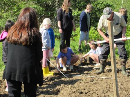 Planting Pumpkins 060325