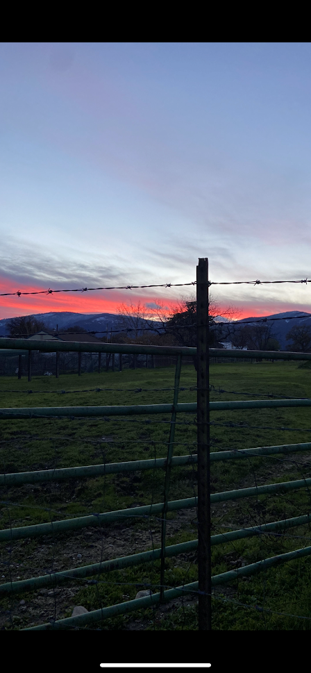 Photo By: Taryn Richardson March 17, 2022 - Pink Twilight field and snow-capped mountains behind a fence