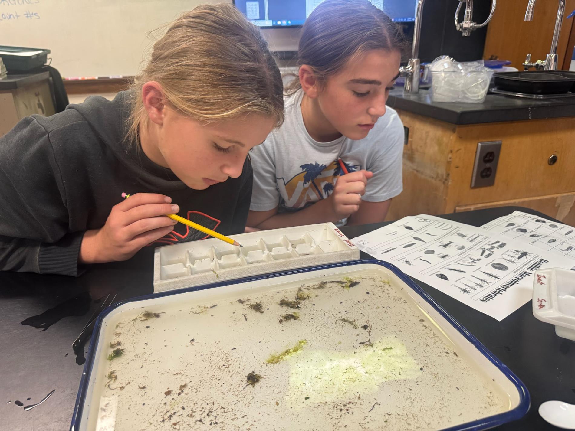 Washington Middle School Science Lab Partners