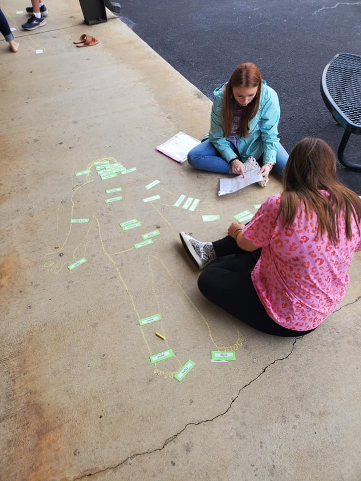 Anatomy class identifying chalk person body parts