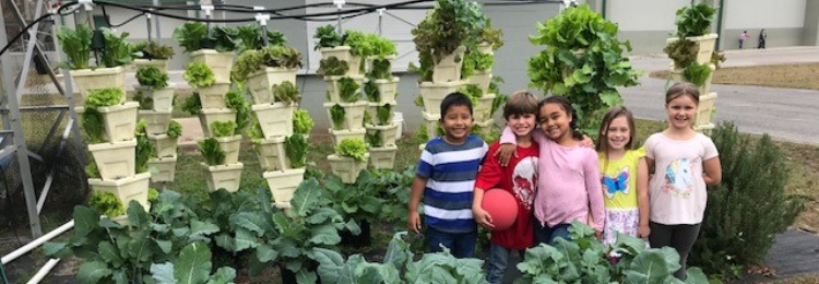 students in hydroponic garden