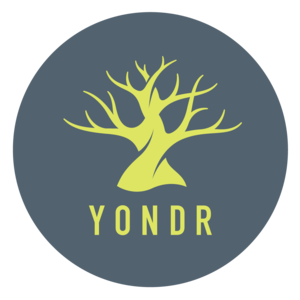 YONDR LOGO
