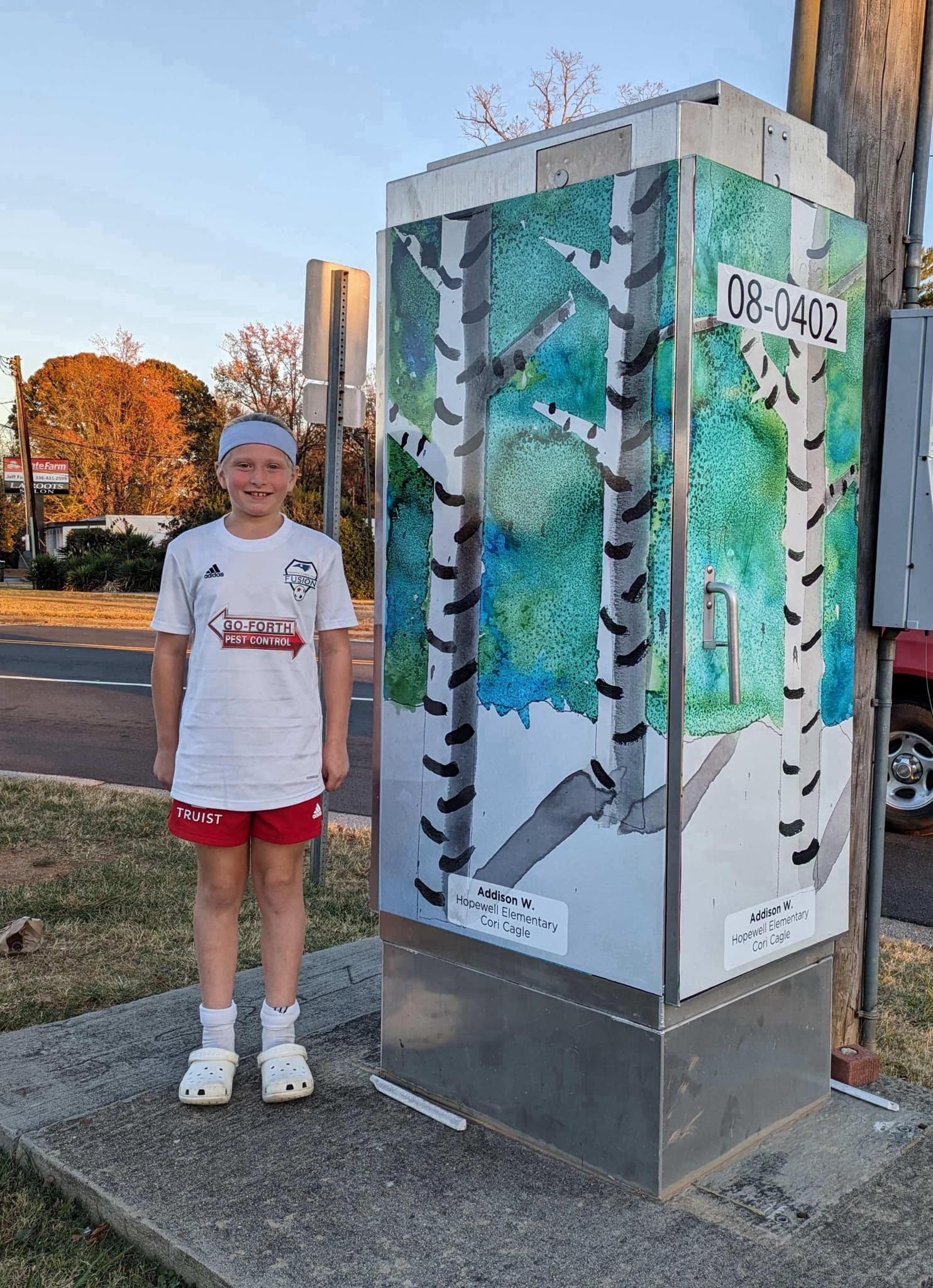 Hopewell Elementary School - vibrant student artwork on the local traffic boxes