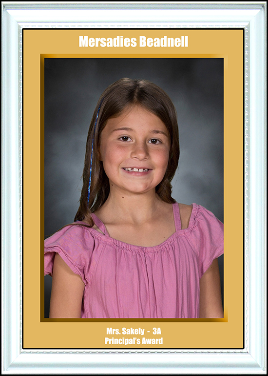 3A Principal's Award