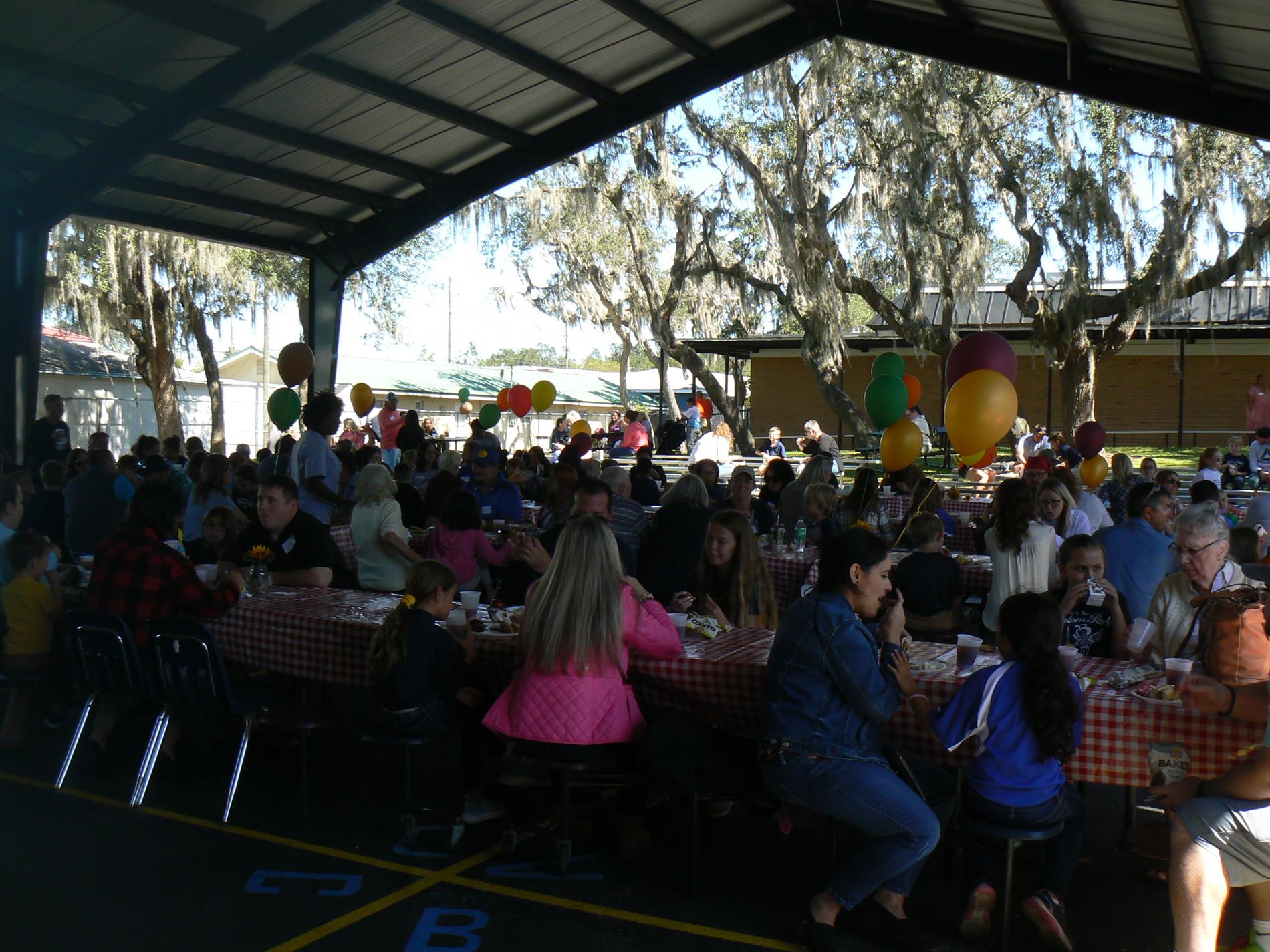 Views of family picnic.