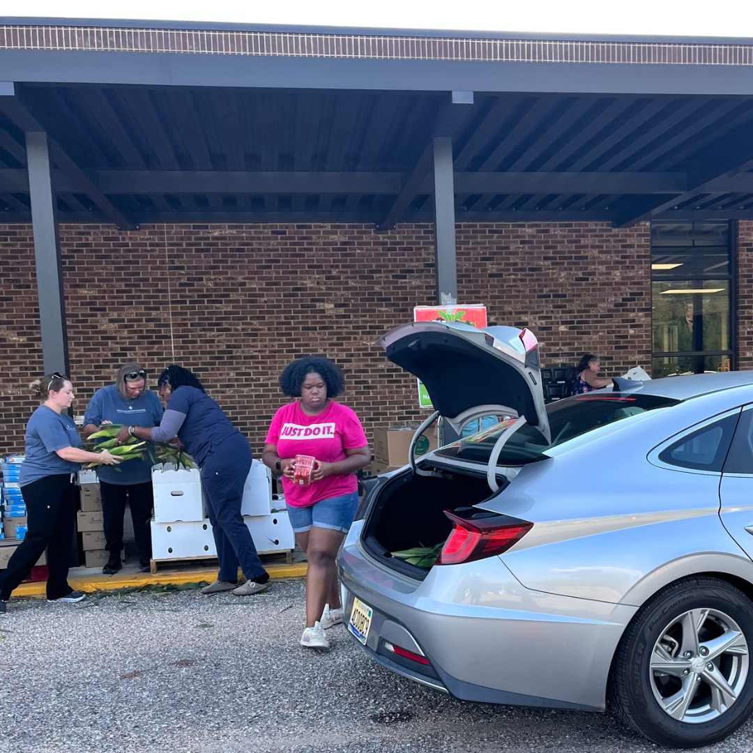 Summer Feeding Volunteer Ask