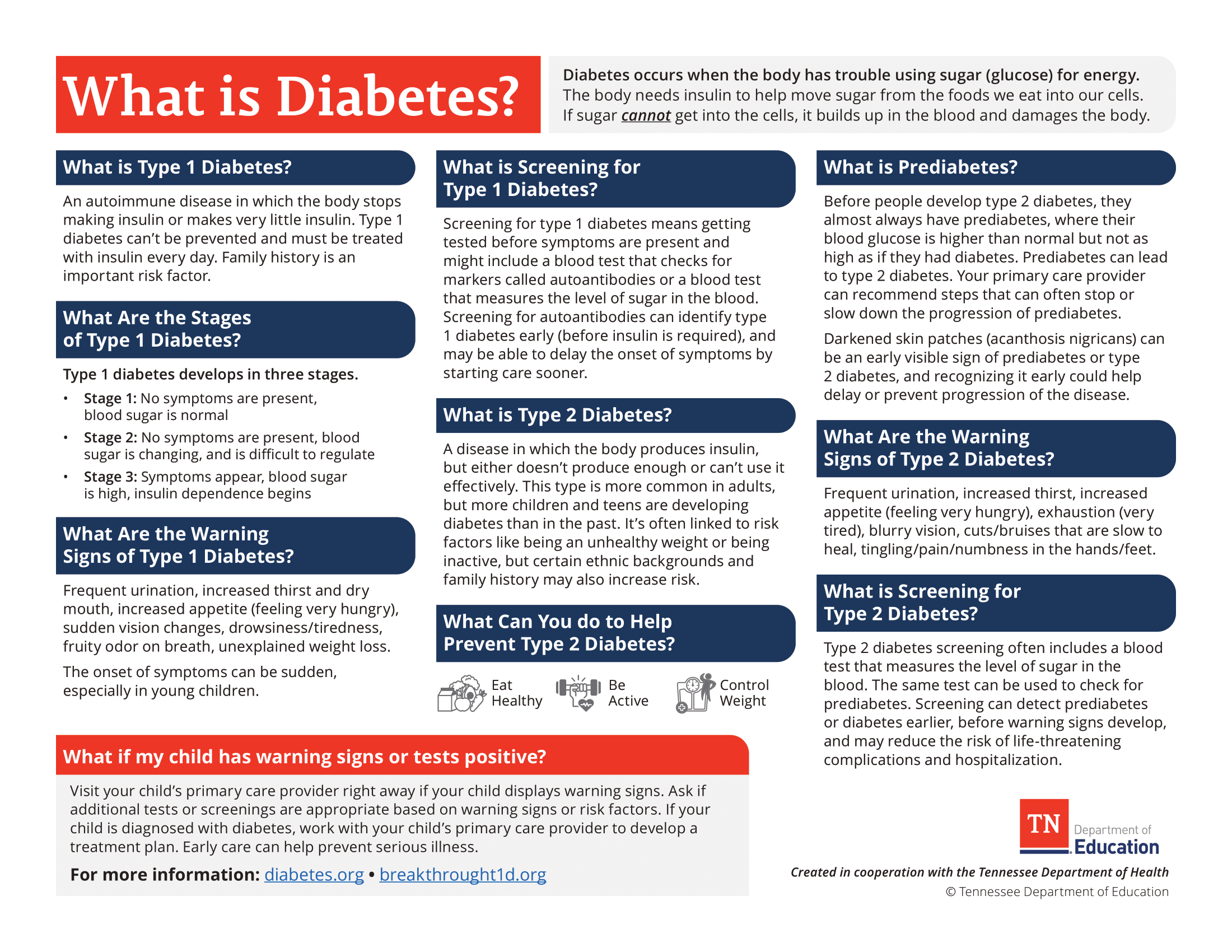 Diabetes information Sheet from TDOE