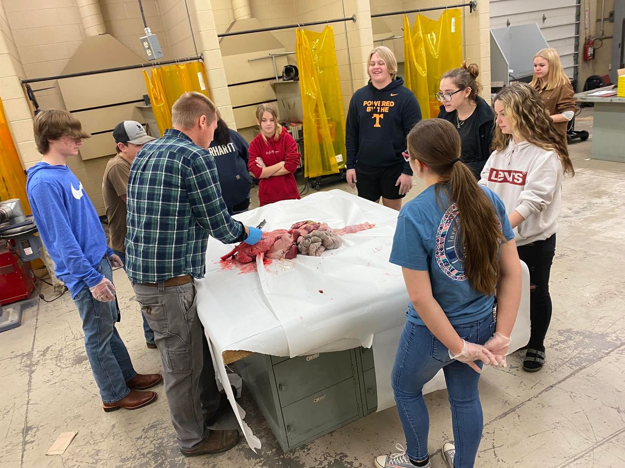 Vet Sci students learning about animal intestines 