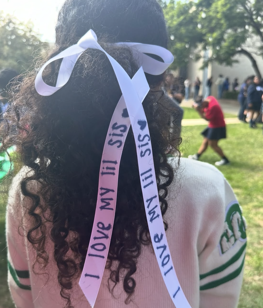 big/lil reveal big/lil reveal