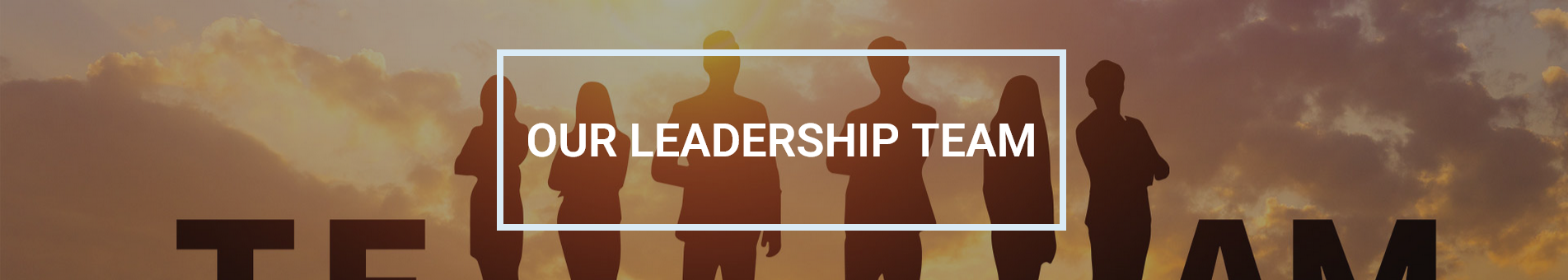 Leadership Team banner