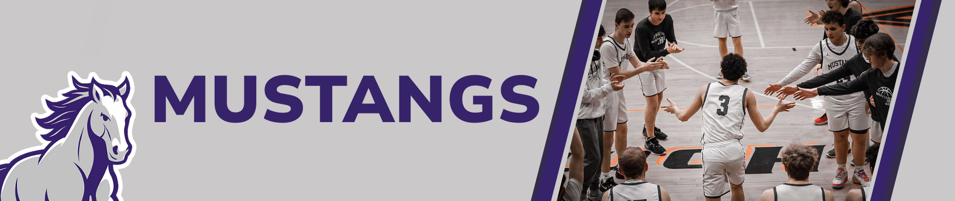 Mustangs logo with basketball plays