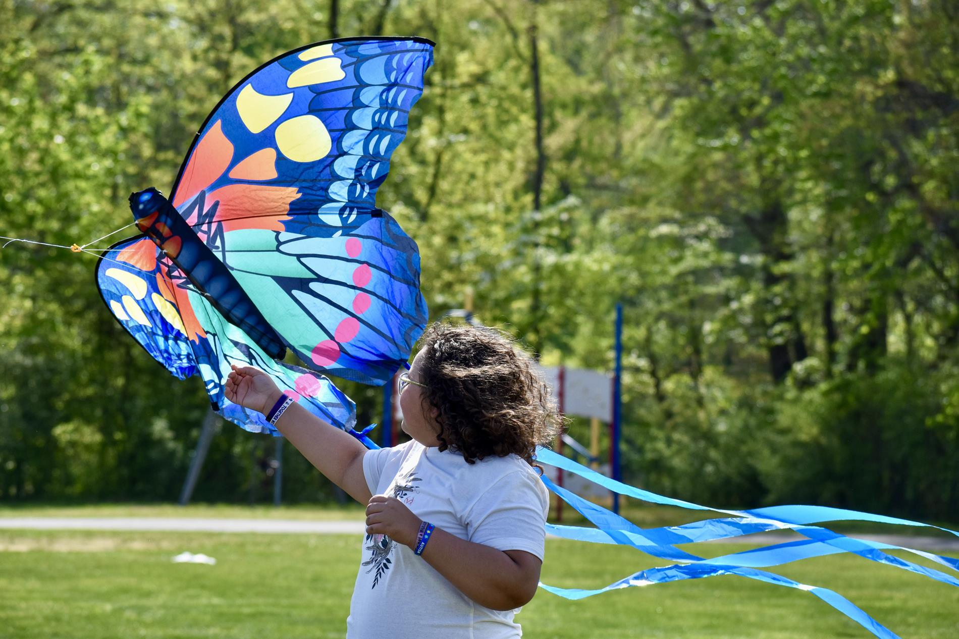 kite 