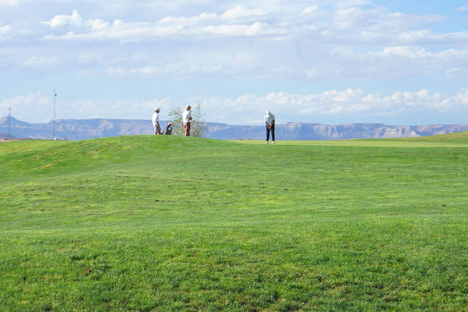 golfers