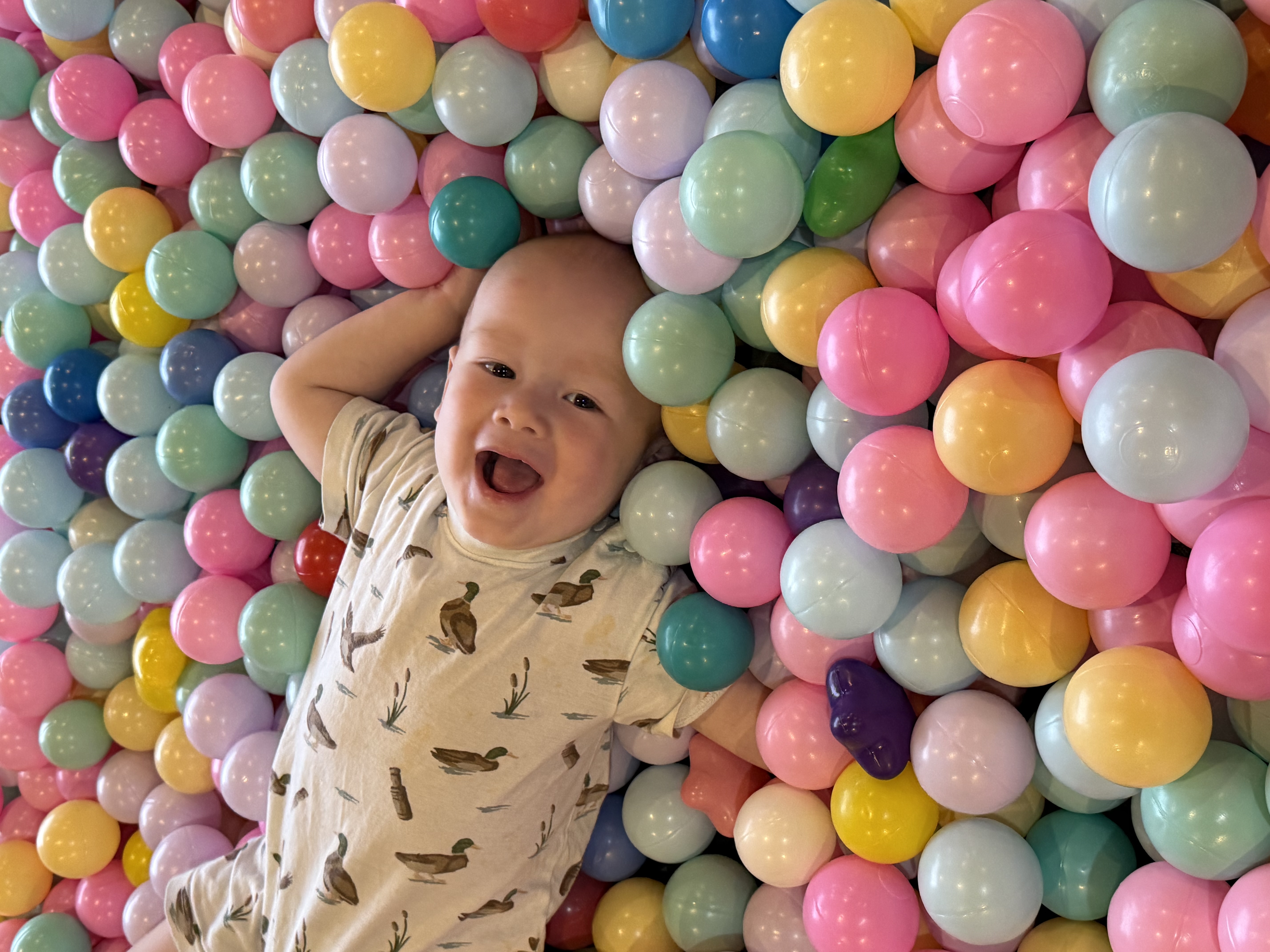 Loves to play!