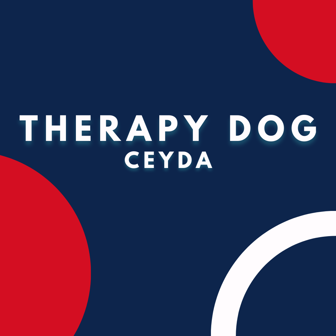 ceyda the therapy dog