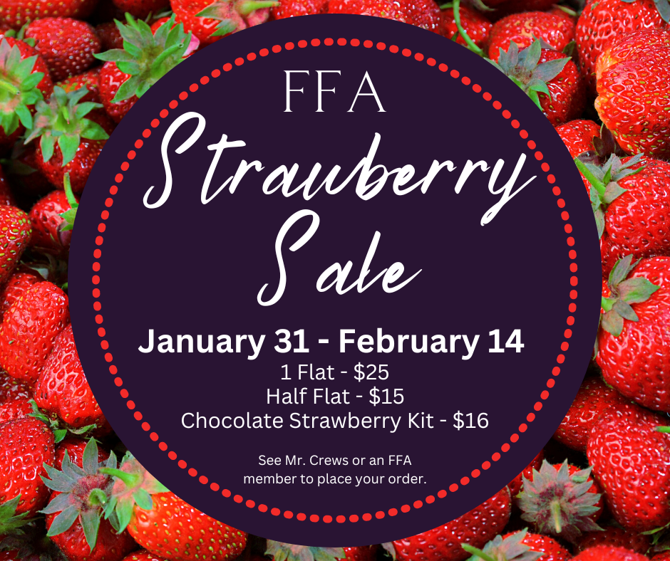 FFA will begin selling strawberries January 31 - February 14th. 