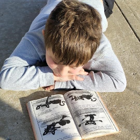 Reading in the Sunshine