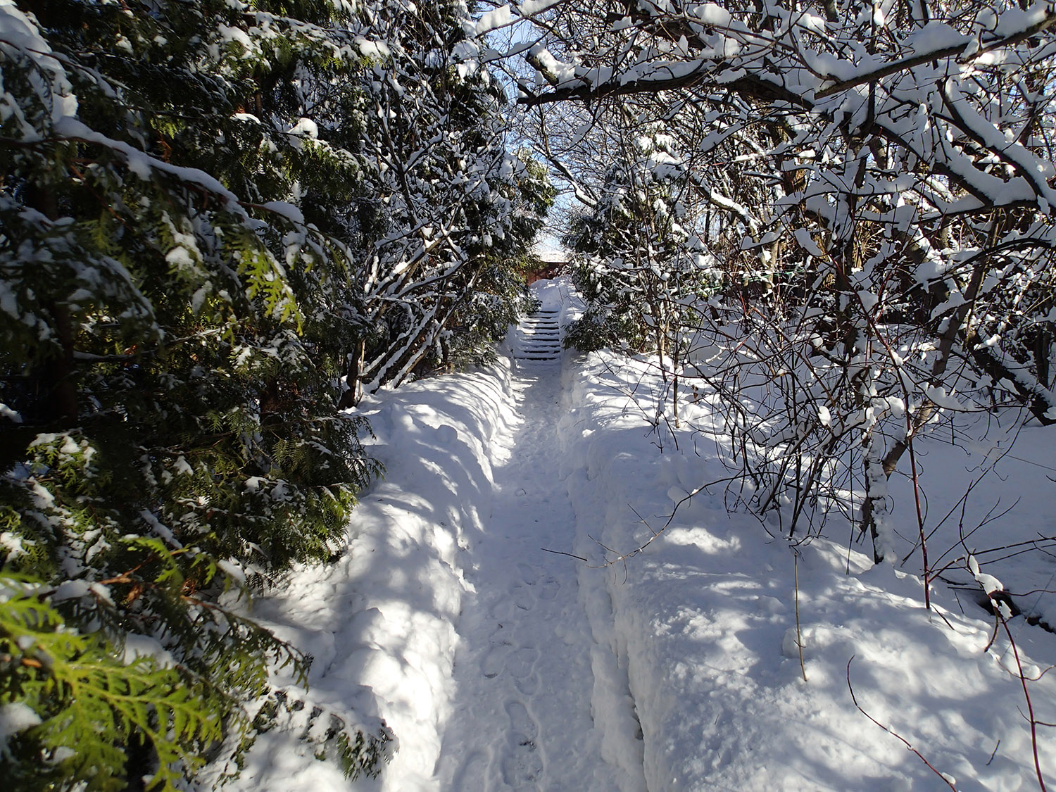 Stepping Stones on a Snowy Sunlit Path