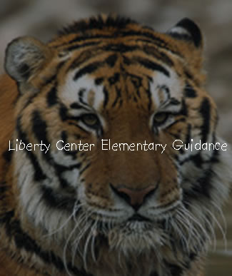 image of tiger