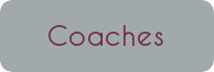 dance coaches