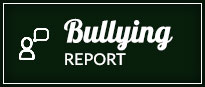 Bullying Report