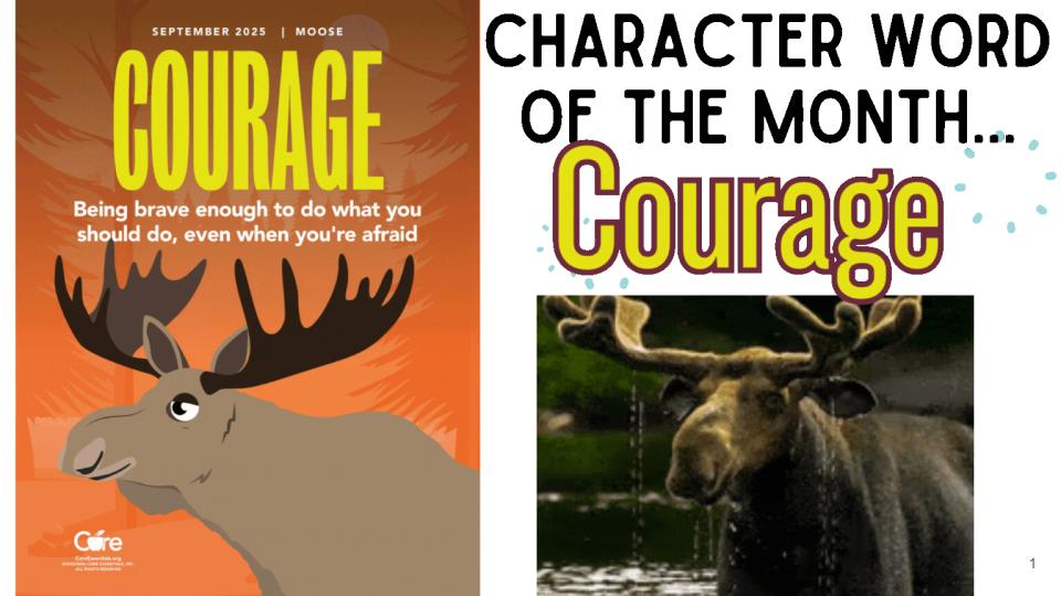 Courgae