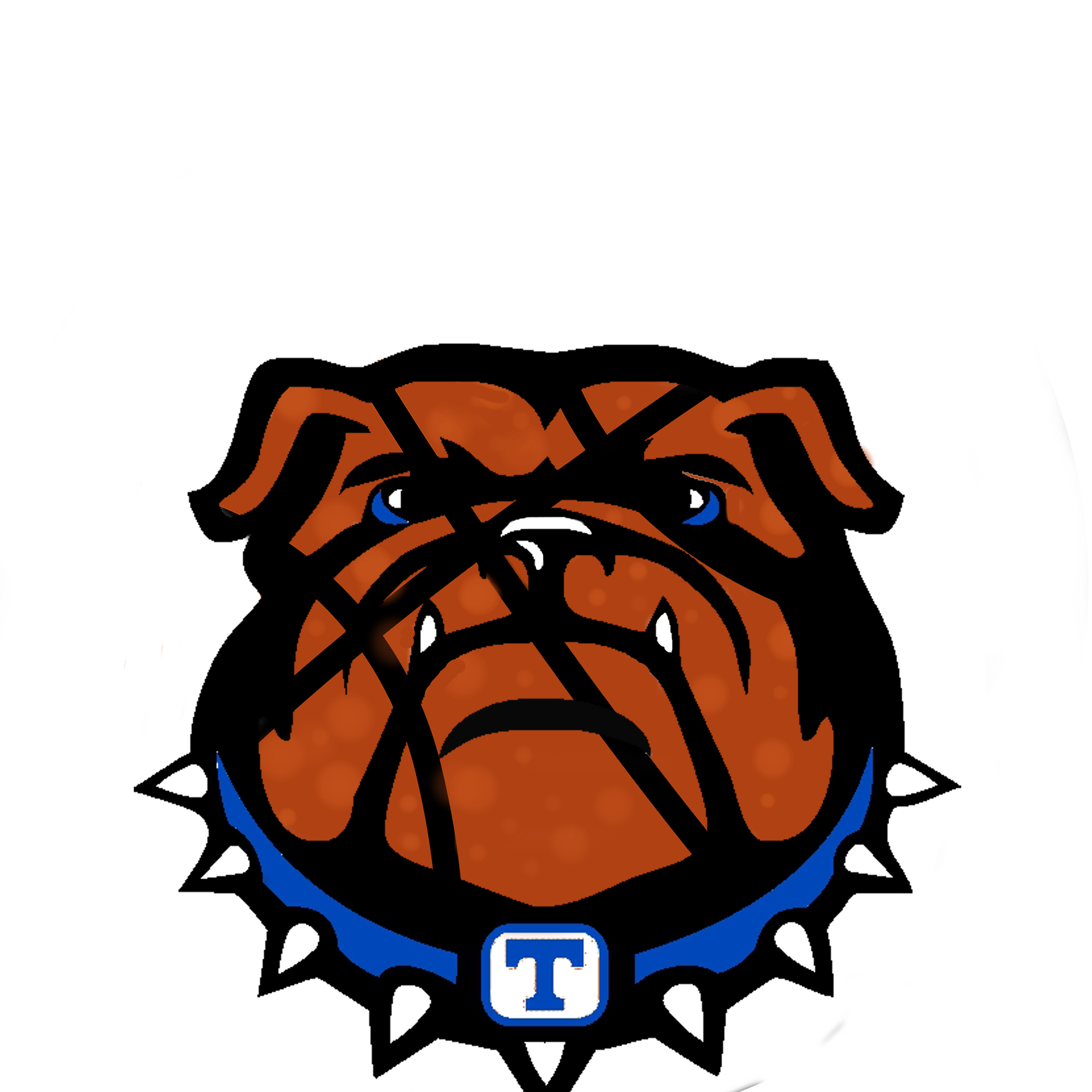 THS Basketball: Nov 30th Game