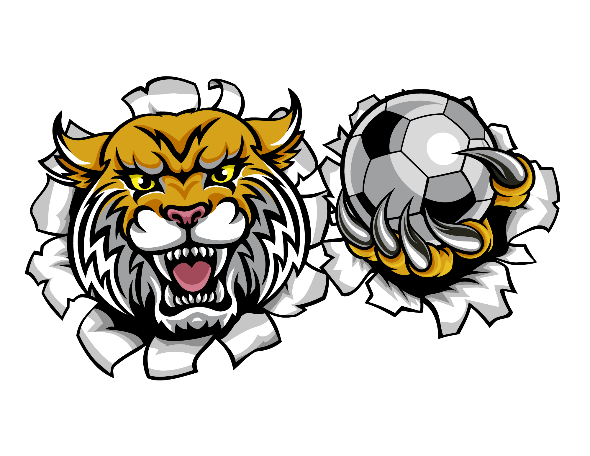 Wildcat Soccer