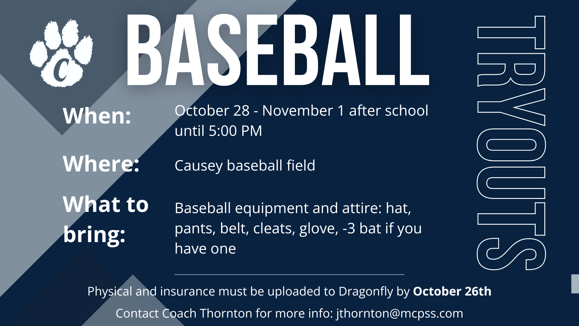 Baseball Tryout Flyer