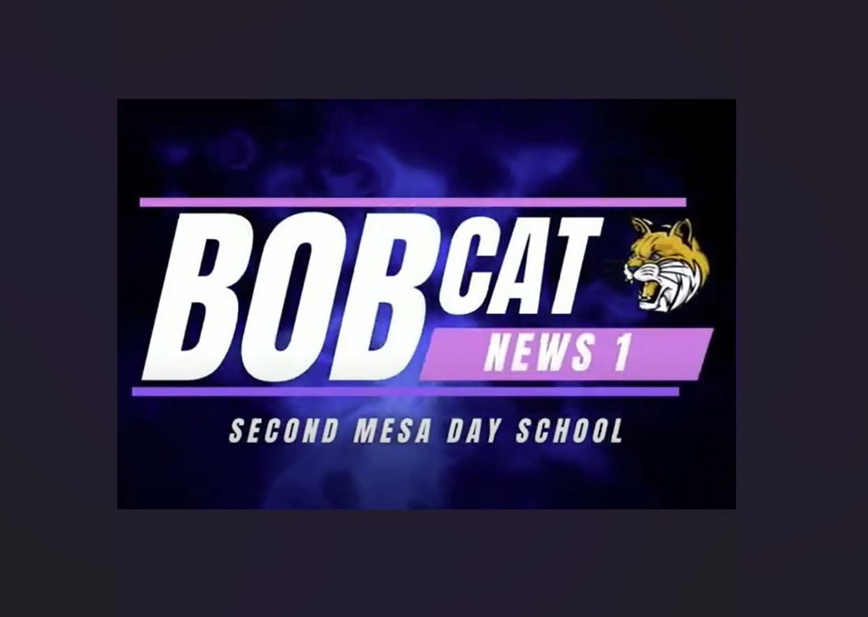 Bobcat News
