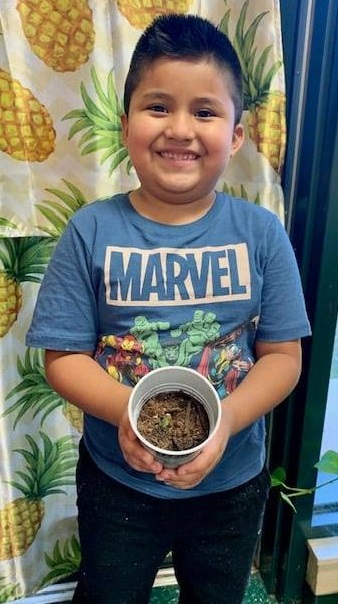 PLANTS - FIRST GRADE