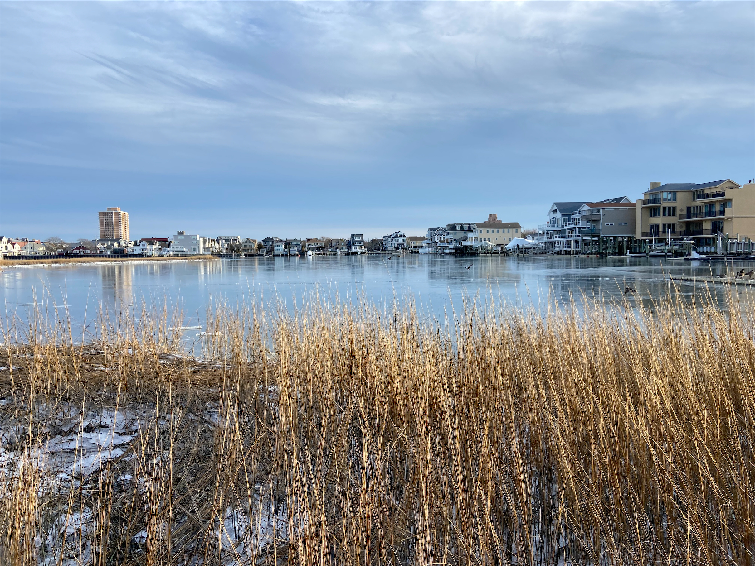 VECC Beach cleanup Dec 2024