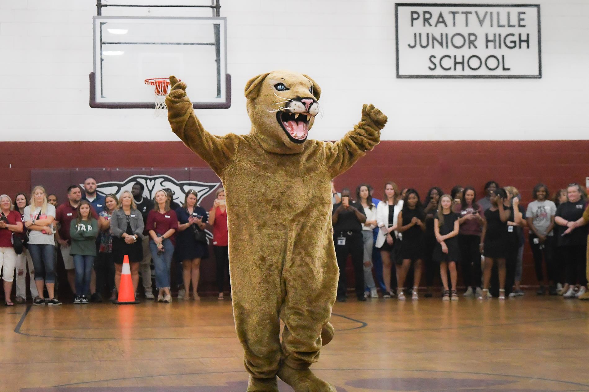 PJ the cat at the hoco pep rally