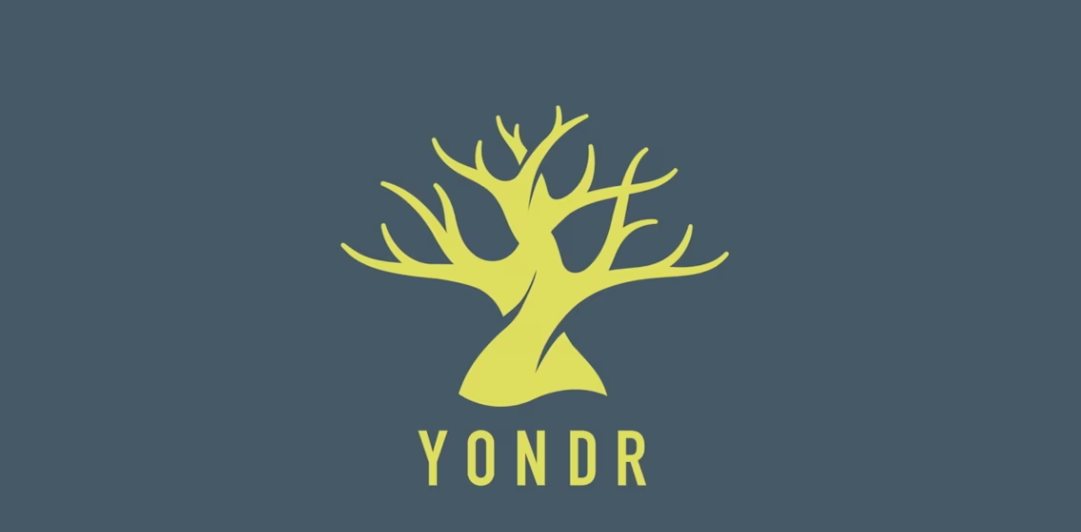 Image of Yondr Company Logo