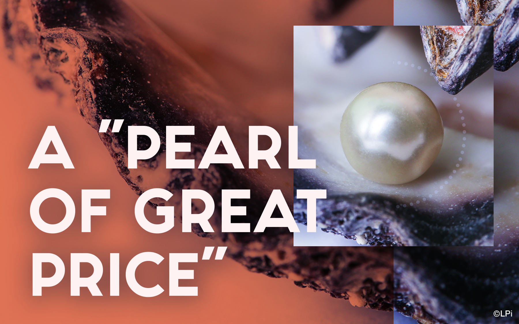 The parable of the peal of great price.