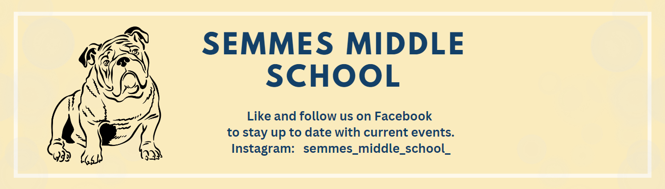 School graphic with social media information 