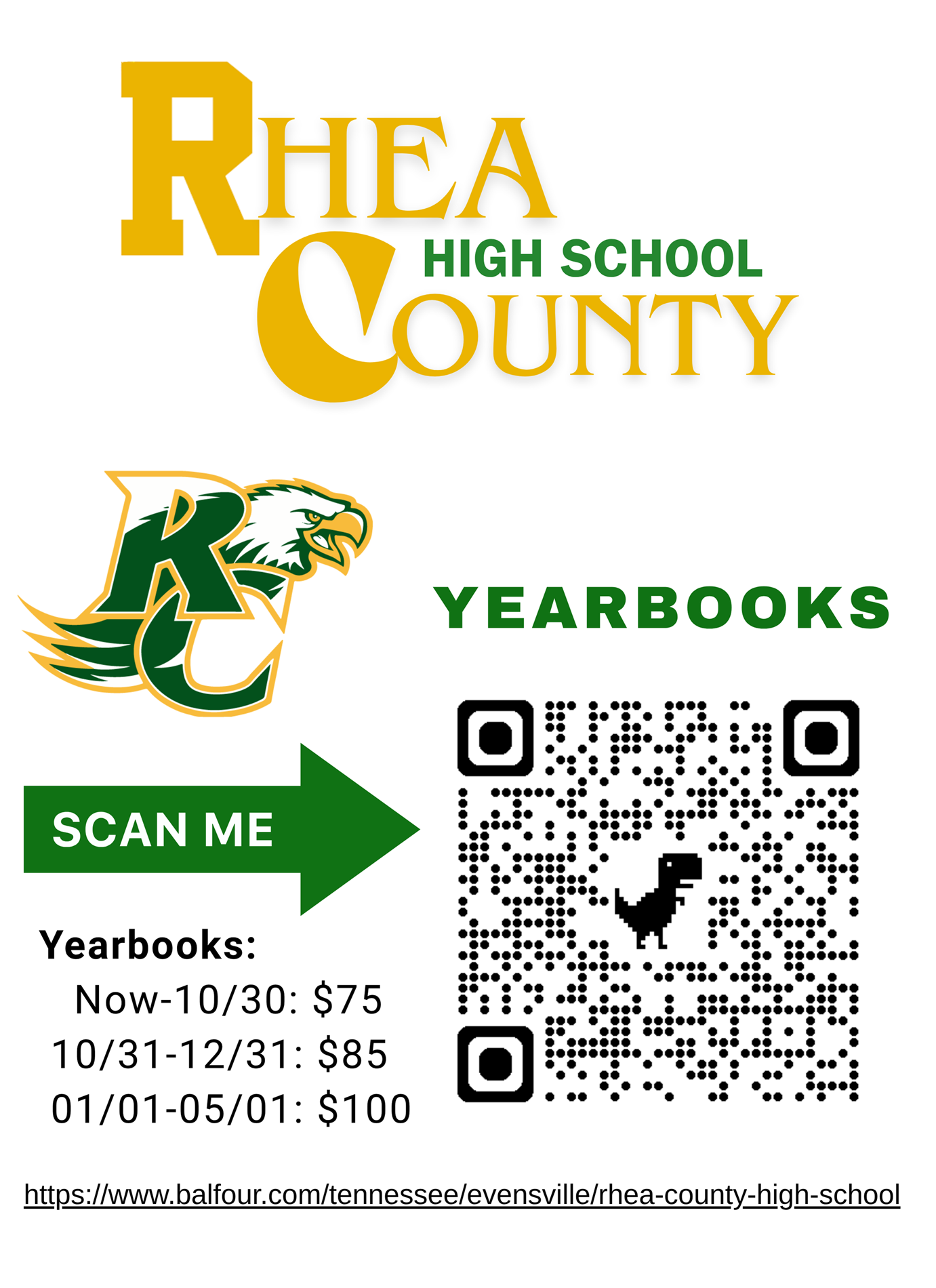 Pic of Flyer