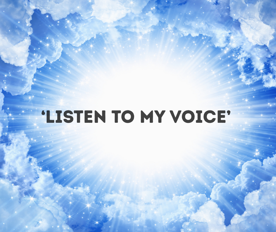 Listen to my Voice
