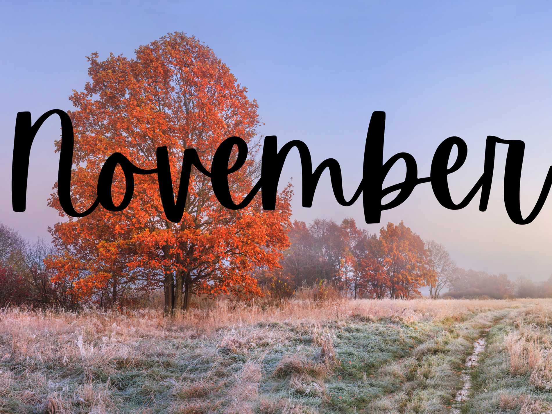 November Newsletter