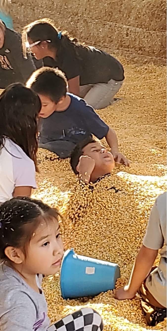 Students playing in the corn