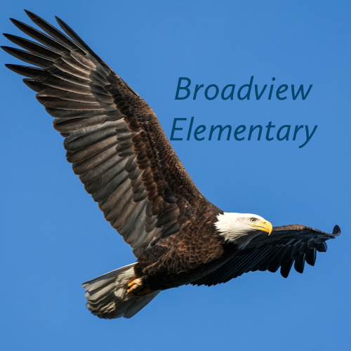Broadview Eagle Facebook
